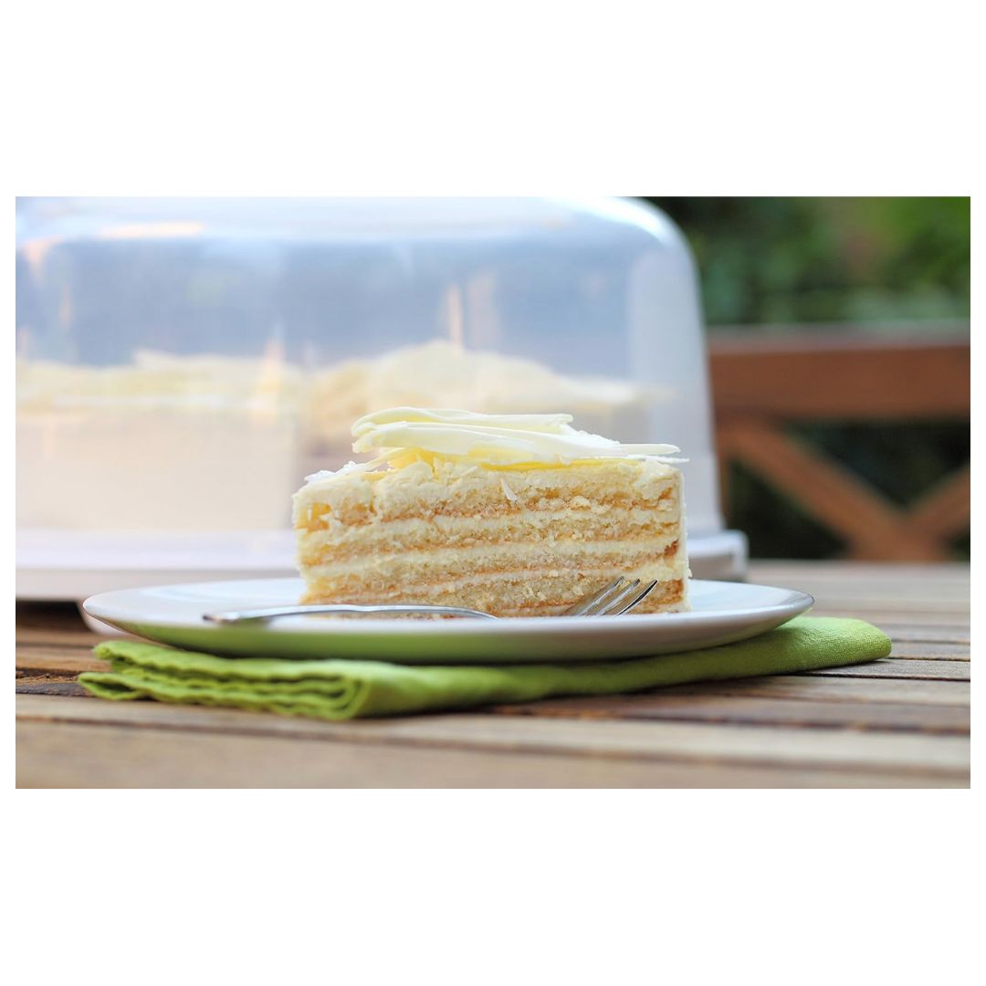 Porta torta FRESH 35,5 x 34,5 x 16,5 cm